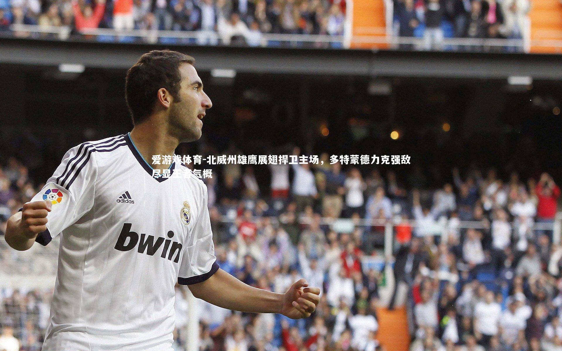 北威州雄鹰展翅捍卫主场，多特蒙德力克强敌尽显王者气概